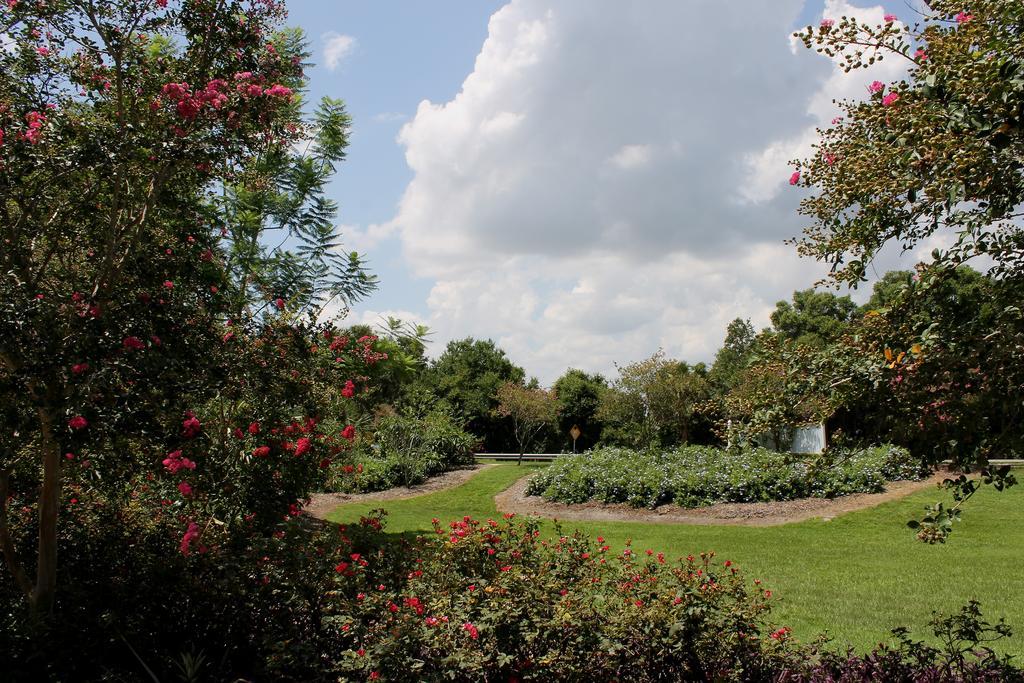 Heron Cay Lakeview Bed & Breakfast Mount Dora Dış mekan fotoğraf