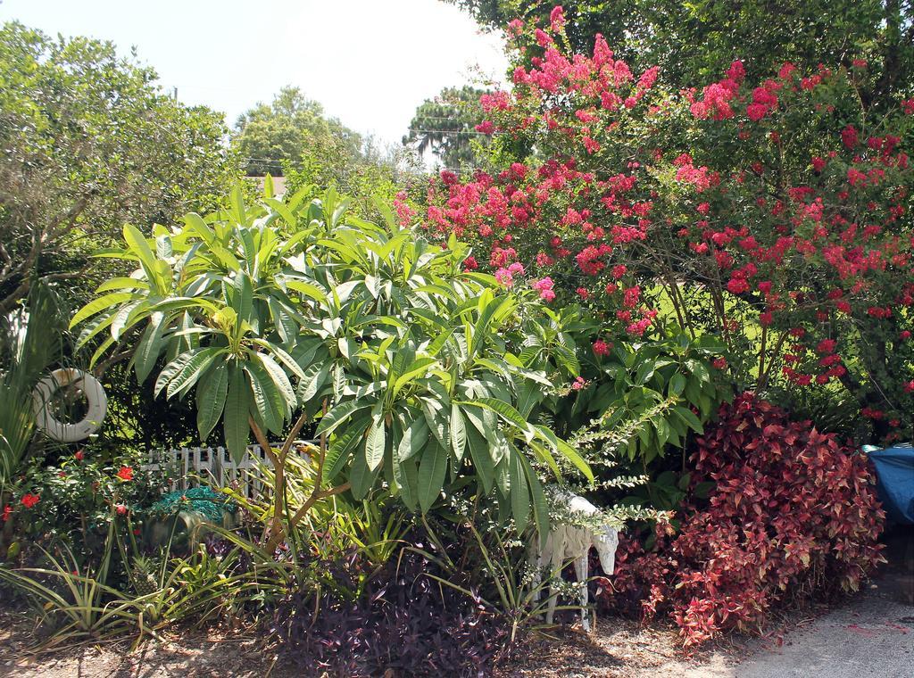 Heron Cay Lakeview Bed & Breakfast Mount Dora Dış mekan fotoğraf